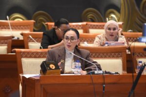 Anggota Komisi I DPR RI, Amelia Anggraini. Foto: Arief/Karisma.