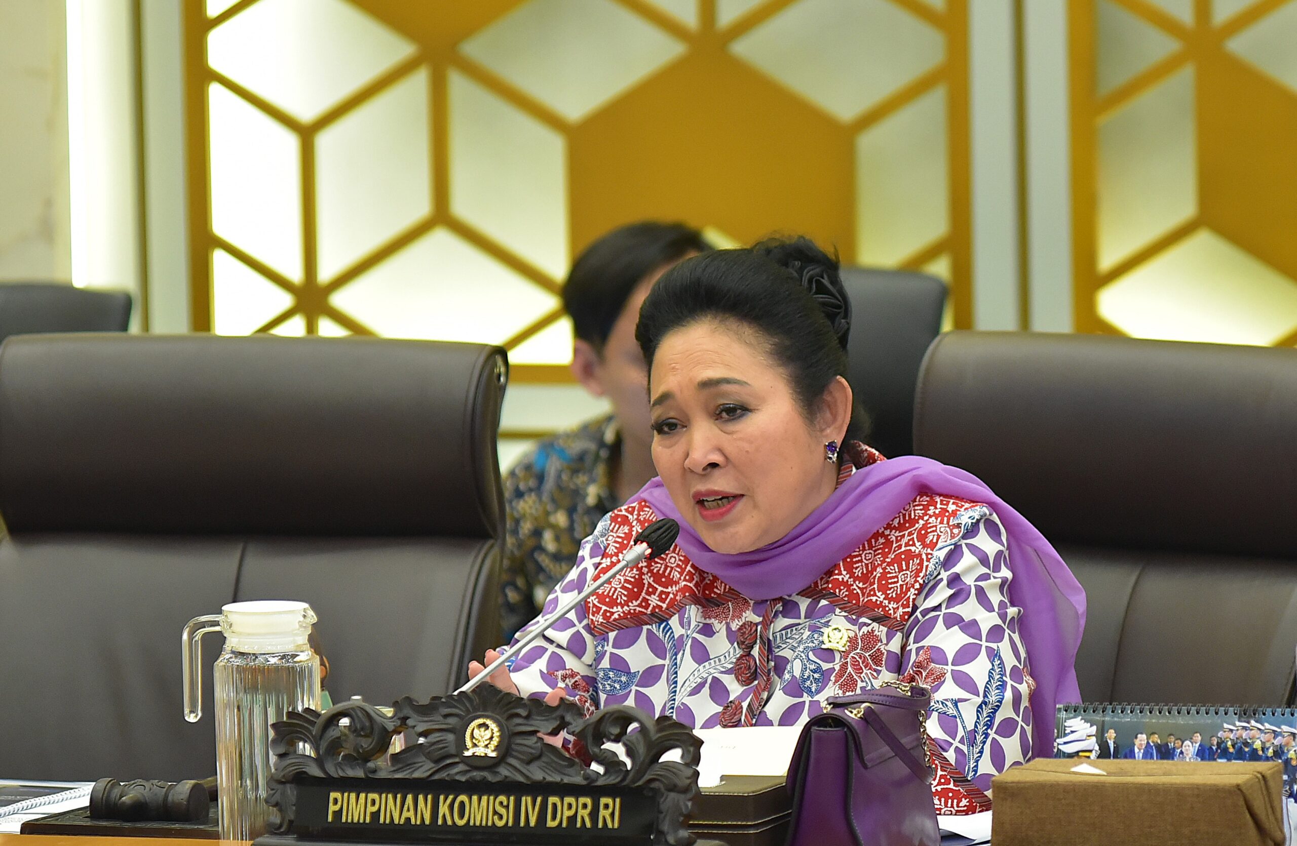 Ketua Komisi IV DPR RI, Siti Hediati Hariyadi. Foto : Oji/Andri