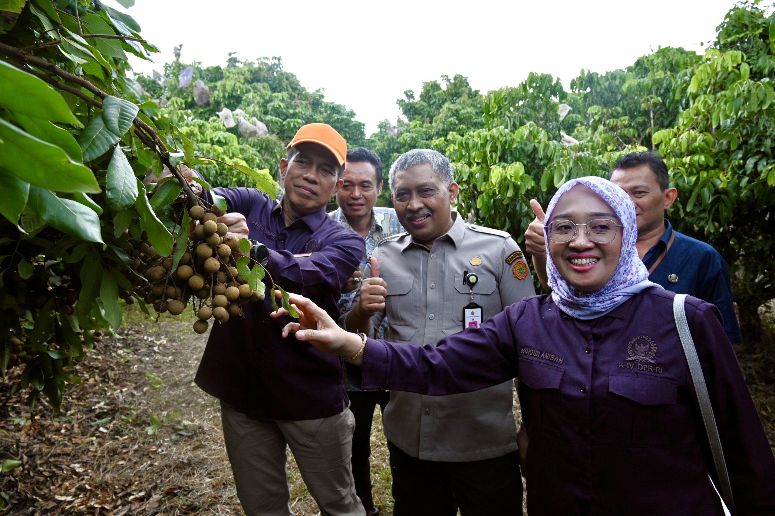 Wakil Ketua Komisi IV DPR RI, Abdul Kharis Almasyhari saat Kunjungan Kerja Spesifik ke kebun buah dan pembibitan di Kandeman, Kabupaten Batang, Provinsi Jawa Tengah, pada Kamis (29/01/2026). Foto: BLF/Mahendra.