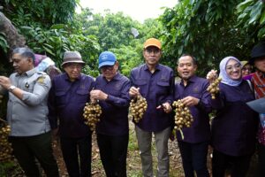 Anggota Komisi IV DPR RI, Abdul Kharis, saat melaksanakan Kunjungan Kerja Spesifik ke kebun buah dan pembibitan di Kandeman, Kabupaten Batang, Provinsi Jawa Tengah, Kamis (29/01/2026). Foto: Blf/Karisma.