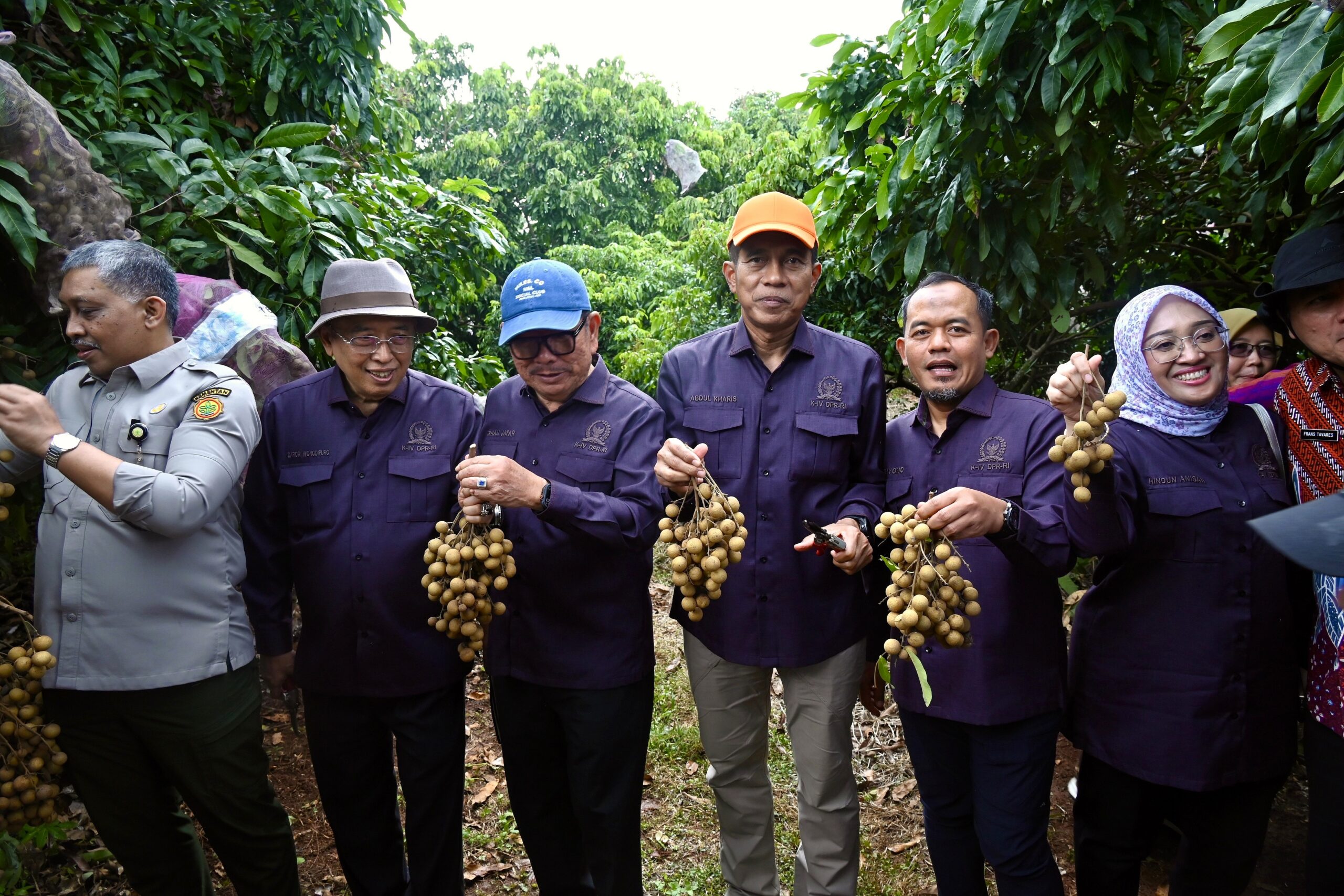 Anggota Komisi IV DPR RI, Abdul Kharis, saat melaksanakan Kunjungan Kerja Spesifik ke kebun buah dan pembibitan di Kandeman, Kabupaten Batang, Provinsi Jawa Tengah, Kamis (29/01/2026). Foto: Blf/Karisma.
