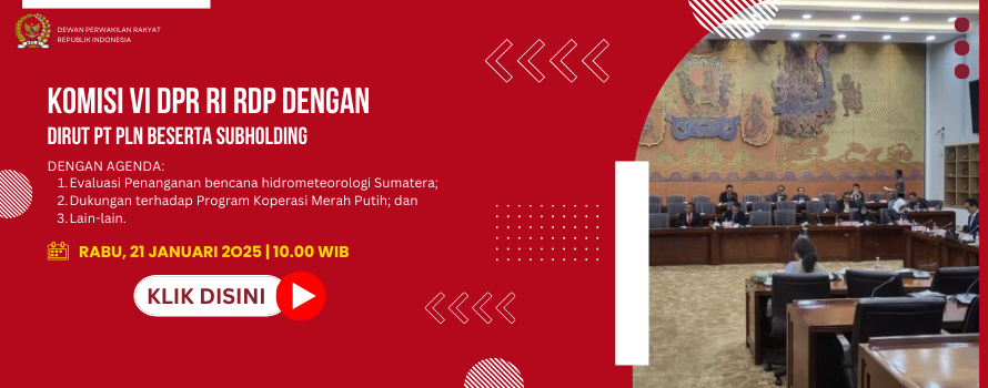 KOMISI VI DPR RI RDP DENGAN DIRUT PT PLN BESERTA SUBHOLDING