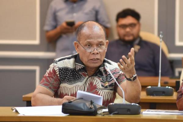 Anggota Komisi VI DPR RI Sturman Panjaitan. Foto : Dok/Andri.