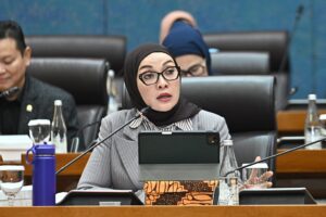 Anggota Komisi VII DPR RI, Erna Sari Dewi. Foto: Farhan/Karisma.