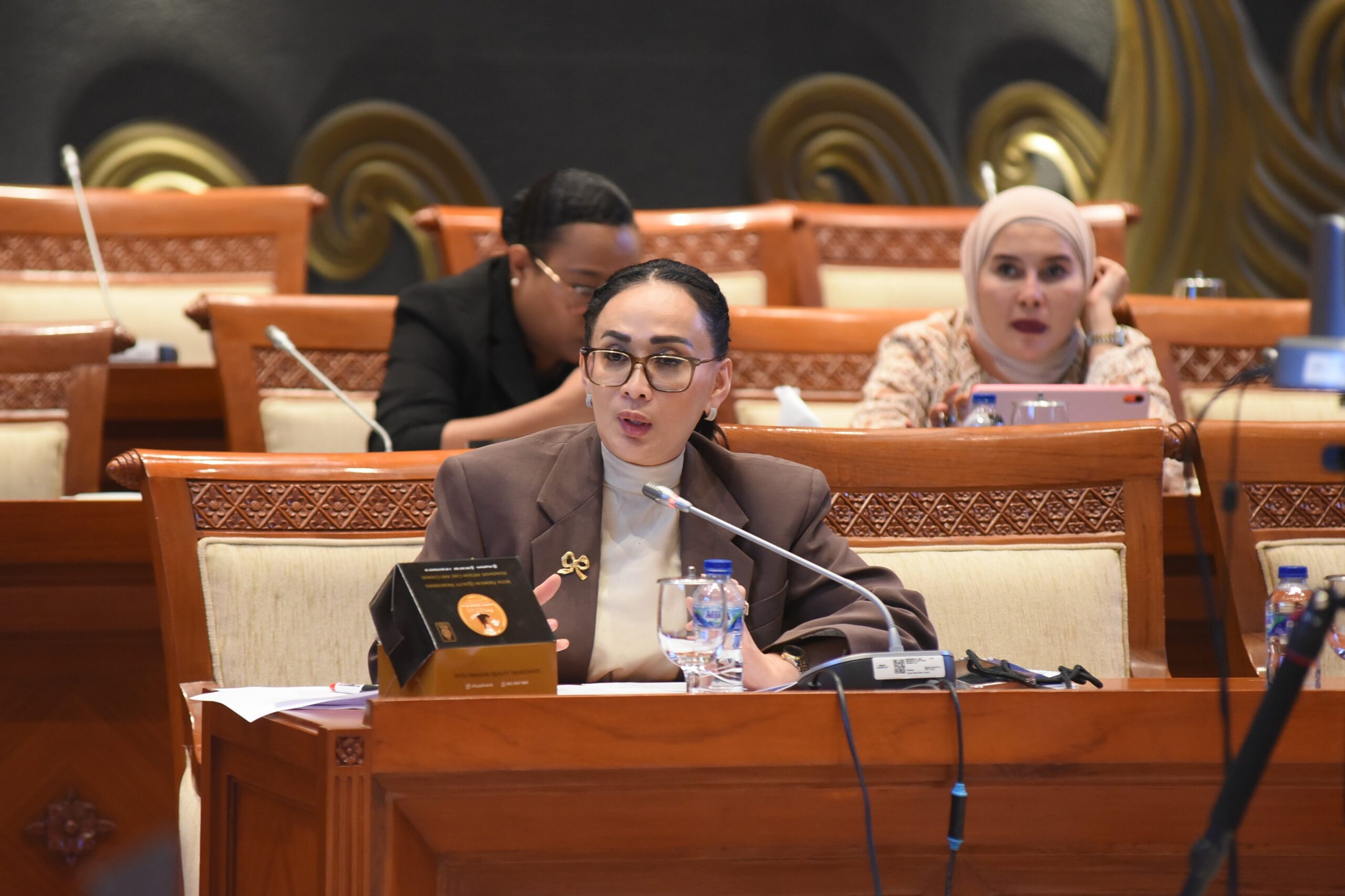 Anggota Komisi I DPR RI, Amelia Anggraini. Foto: Arief/Mahendra.