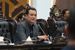 Wakil Ketua Badan Legislasi (Baleg) DPR RI, Martin Manurung. Foto: Mahendra.